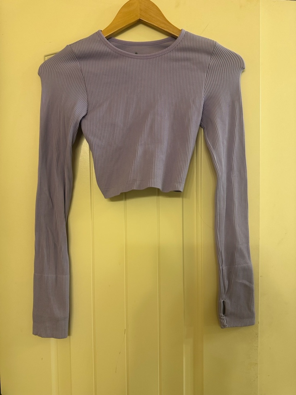 Spiritual Gangster Lavender Ribbed Long-Sleeve Crop Top